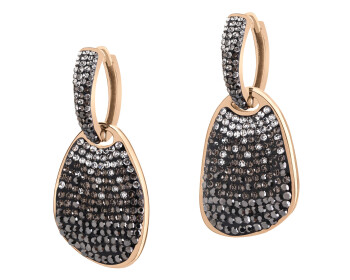 Stainless Steel Earrings with Crystal