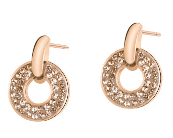 Stainless Steel Earrings with Crystal