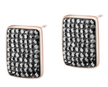 Stainless Steel Earrings with Crystal